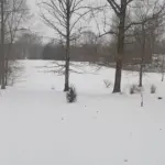 inbound6654868090764720711