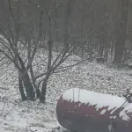 inbound5880697524014974368