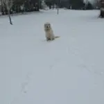 inbound7518562614685999983