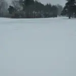 inbound7500587654827415997