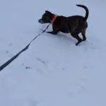 PXL_20260125_212940641.MP