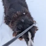 PXL_20260125_212935602