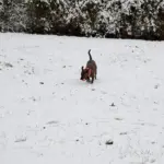 PXL_20251202_132531957