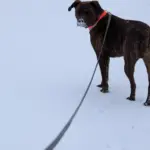 PXL_20260125_213014190