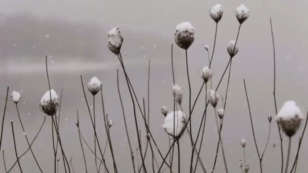 011025-snow-day-10-jpg