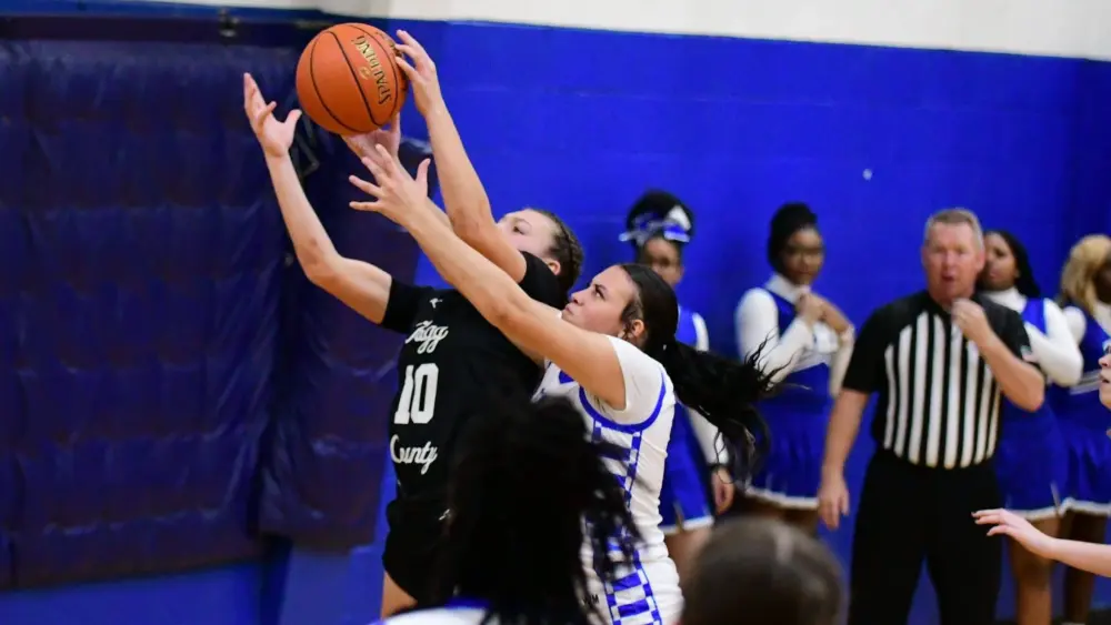 dsc_1270-e17695493483197979