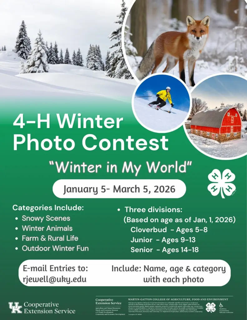 623135537_2023313671825428_8079677167499926432_n