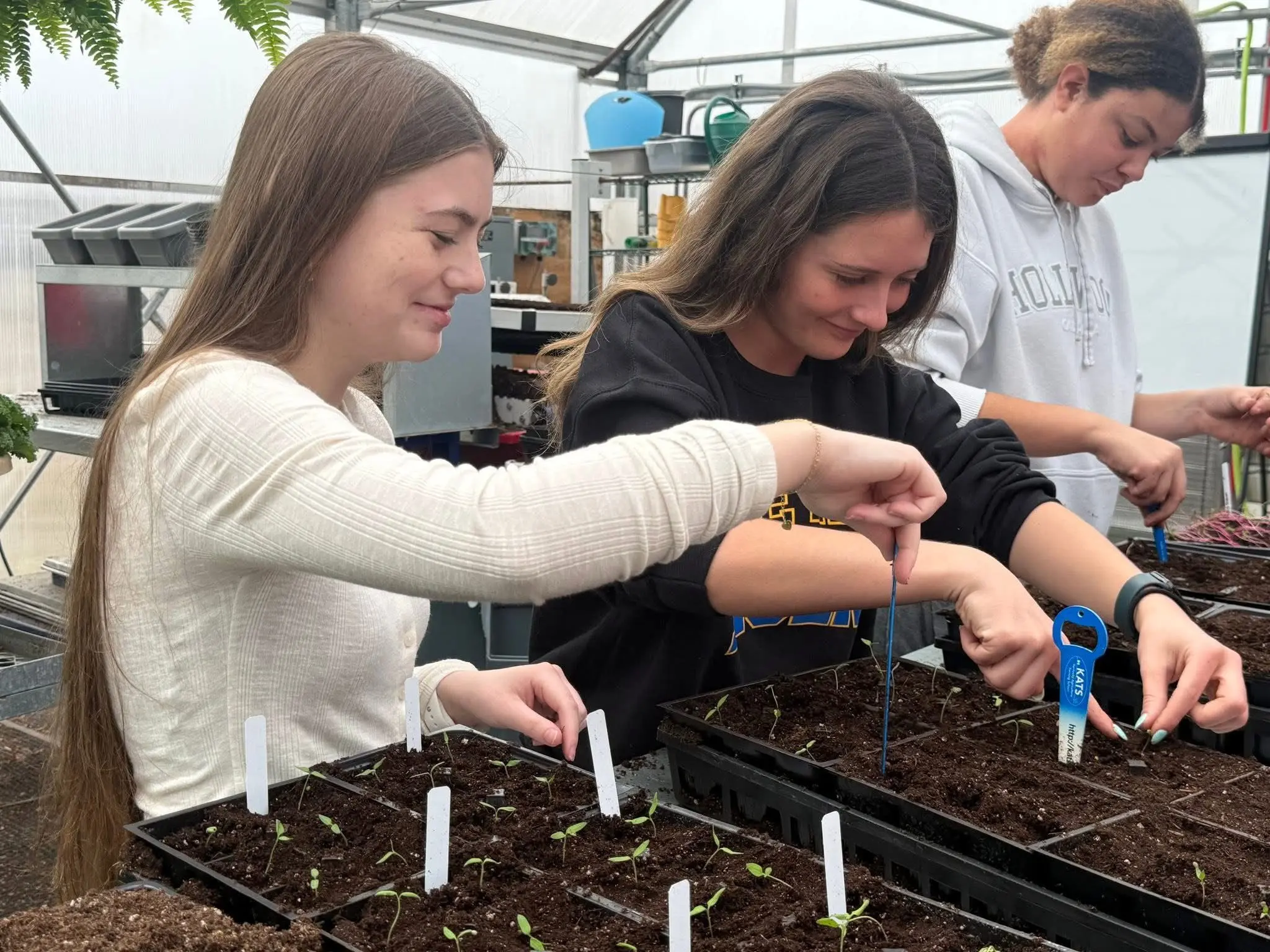 photo-mar-03-2026-1-31-33-pm-35