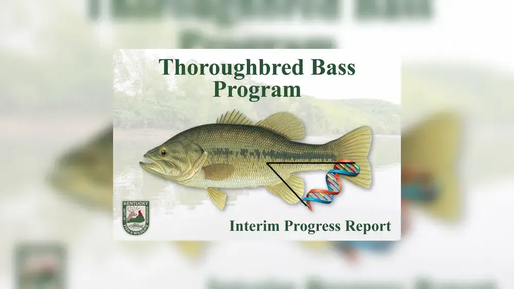 thoroughbred-bass-program-2_crop_with_bgc-png