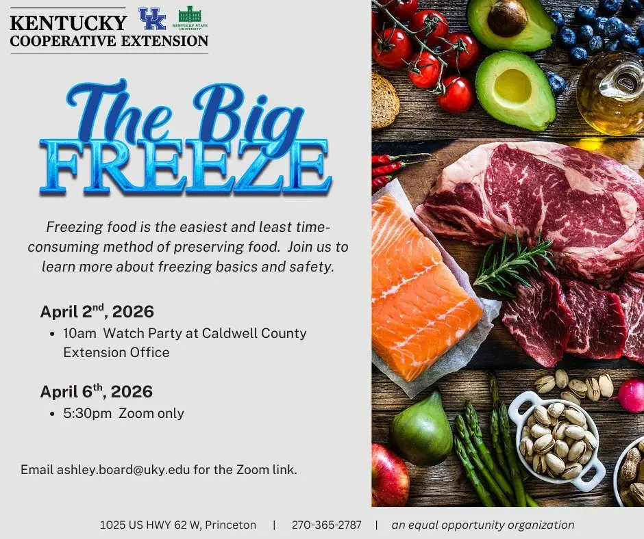 660315117_2072413480248780_7239281416191318394_n