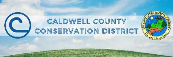 657189780_1453359743250747_2452860204782854788_n