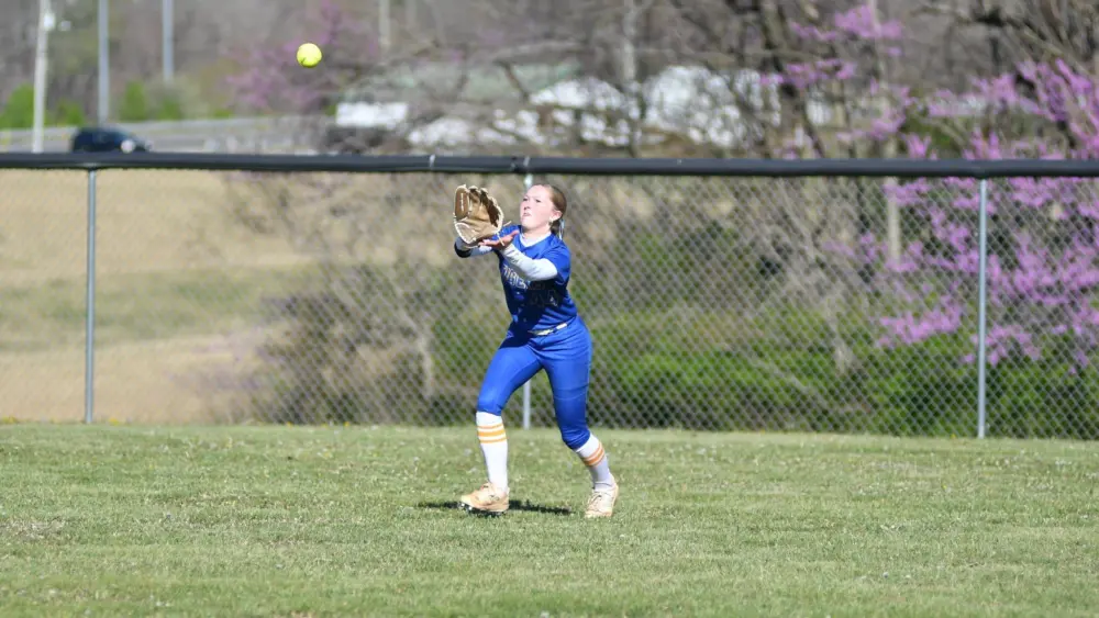 dsc_8550-e1774983303936603568