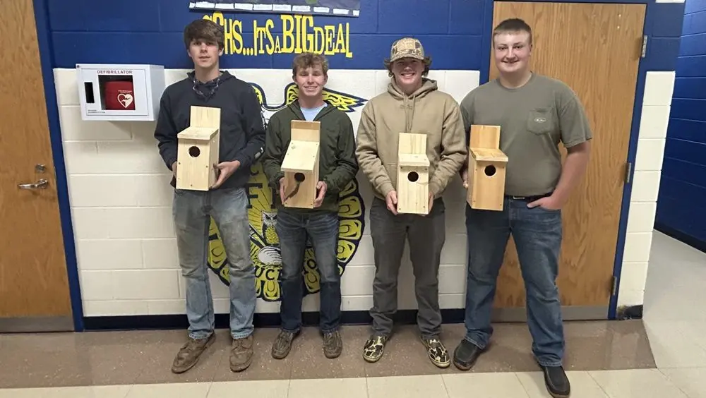 04-06-26-birdhouse-pic-1