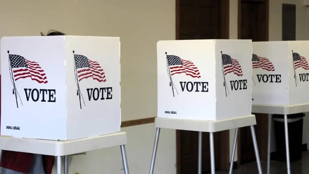 election-voting-picture