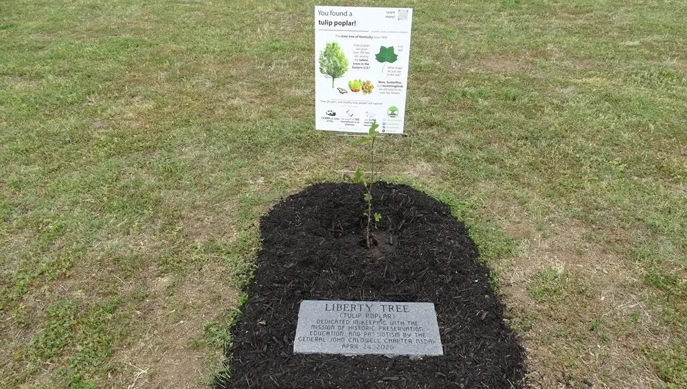 04-24-26-liberty-tree-and-marker
