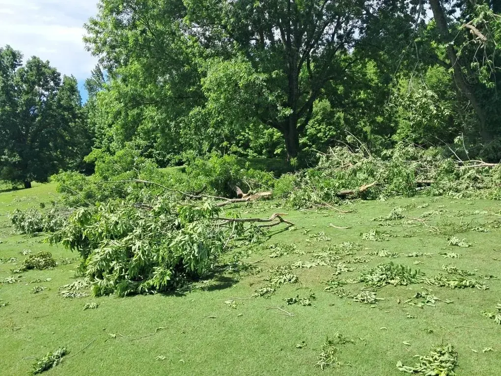 resized_20250517_112137_1747507536597-jpeg