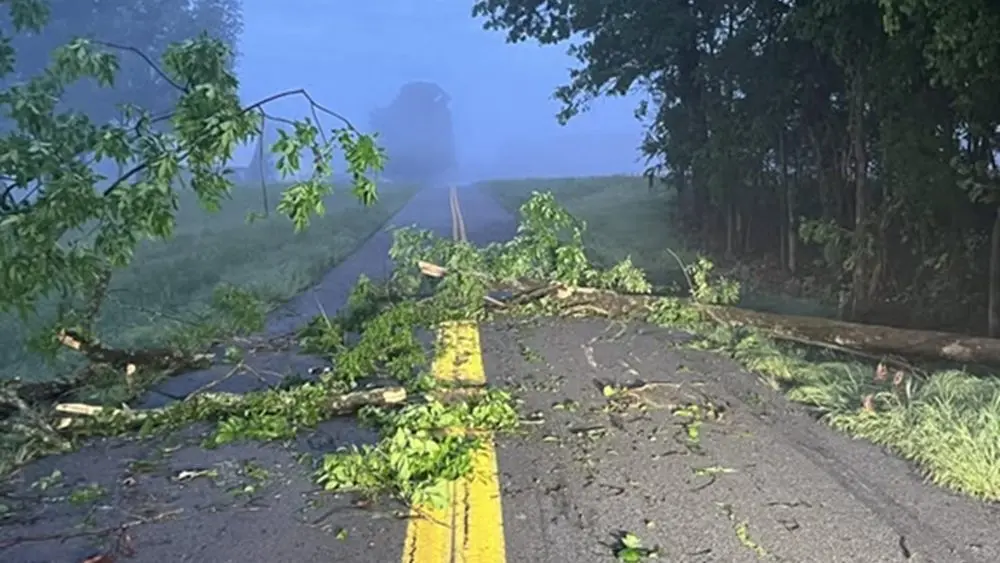 04-28-26-downed-tree