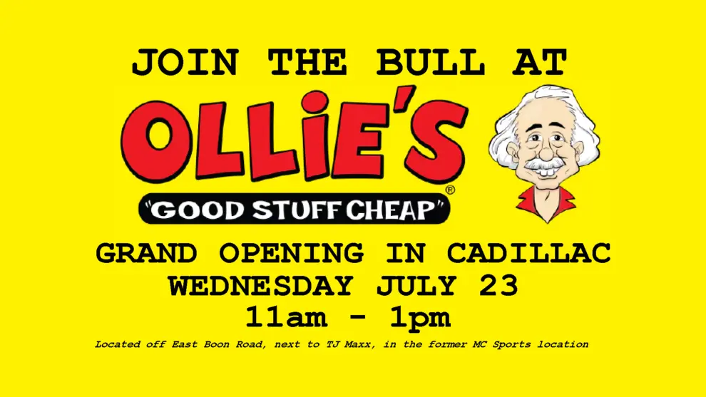 bull-ollies