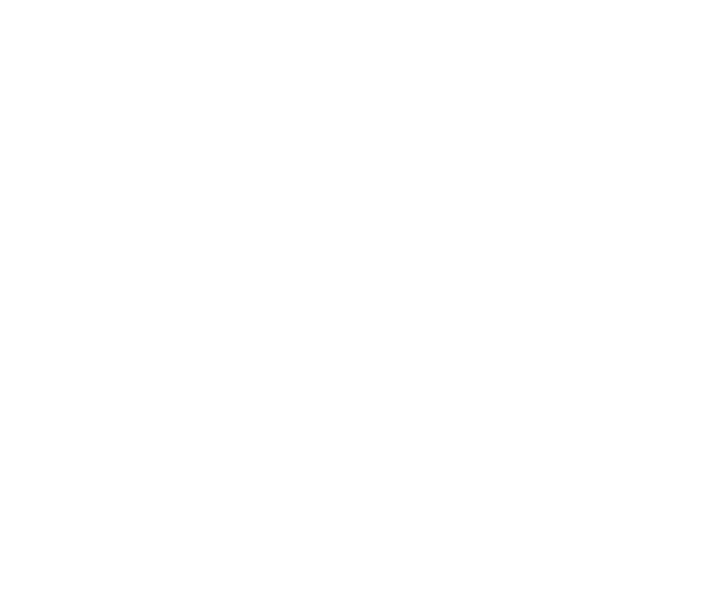 lotus-los-angeles-corp-white