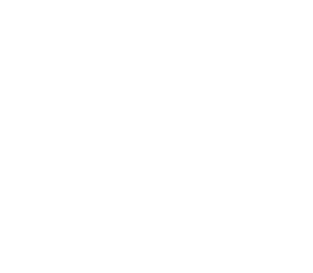 lotus-tucson-corp-white