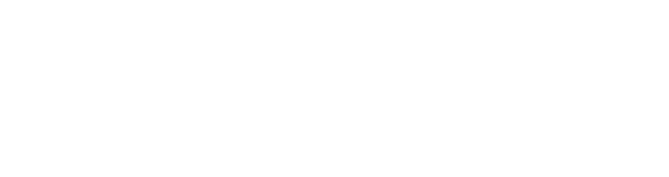 ariznoa-lotus-corp-white-website-logo