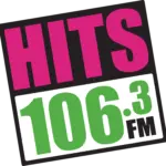 hits_106_color_official_vector_file-6