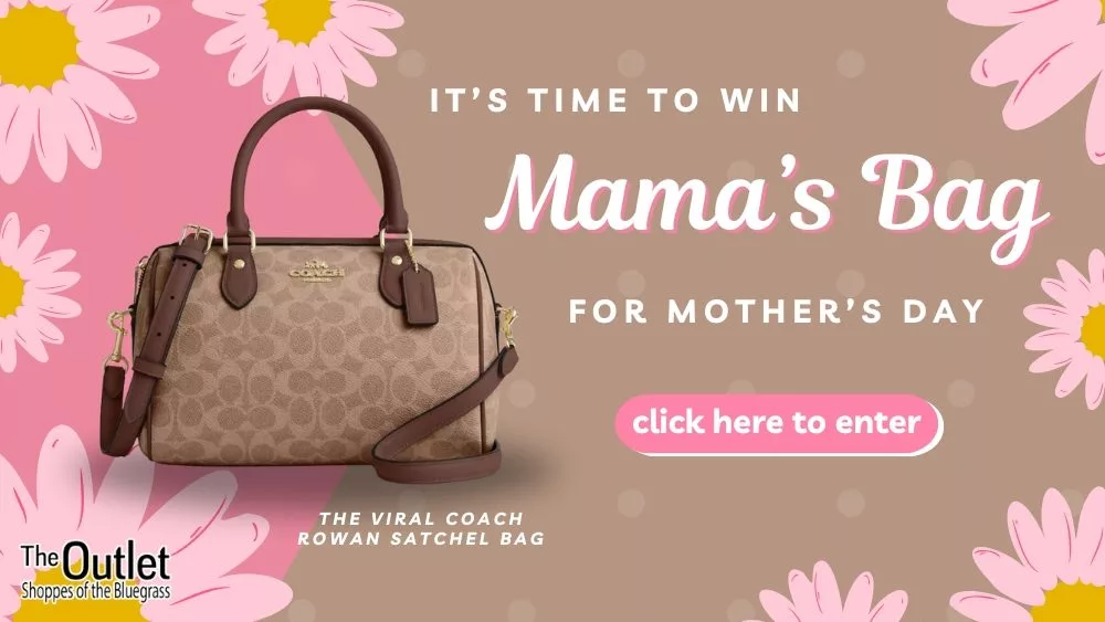mommas-purse