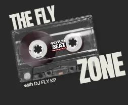 the-fly-zone3