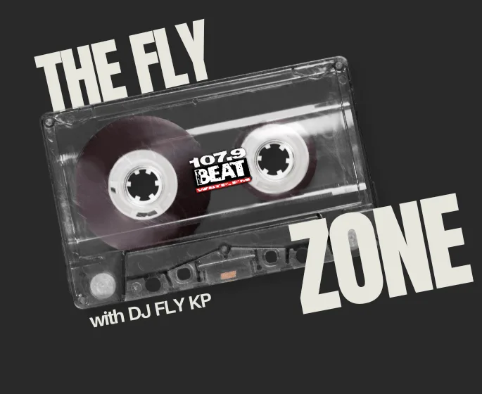 the-fly-zone3