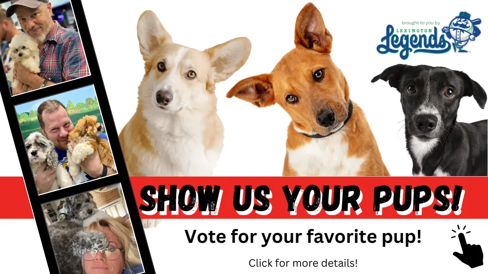 show-us-your-pups-flipper-4