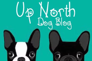 upnorthdogblog-1