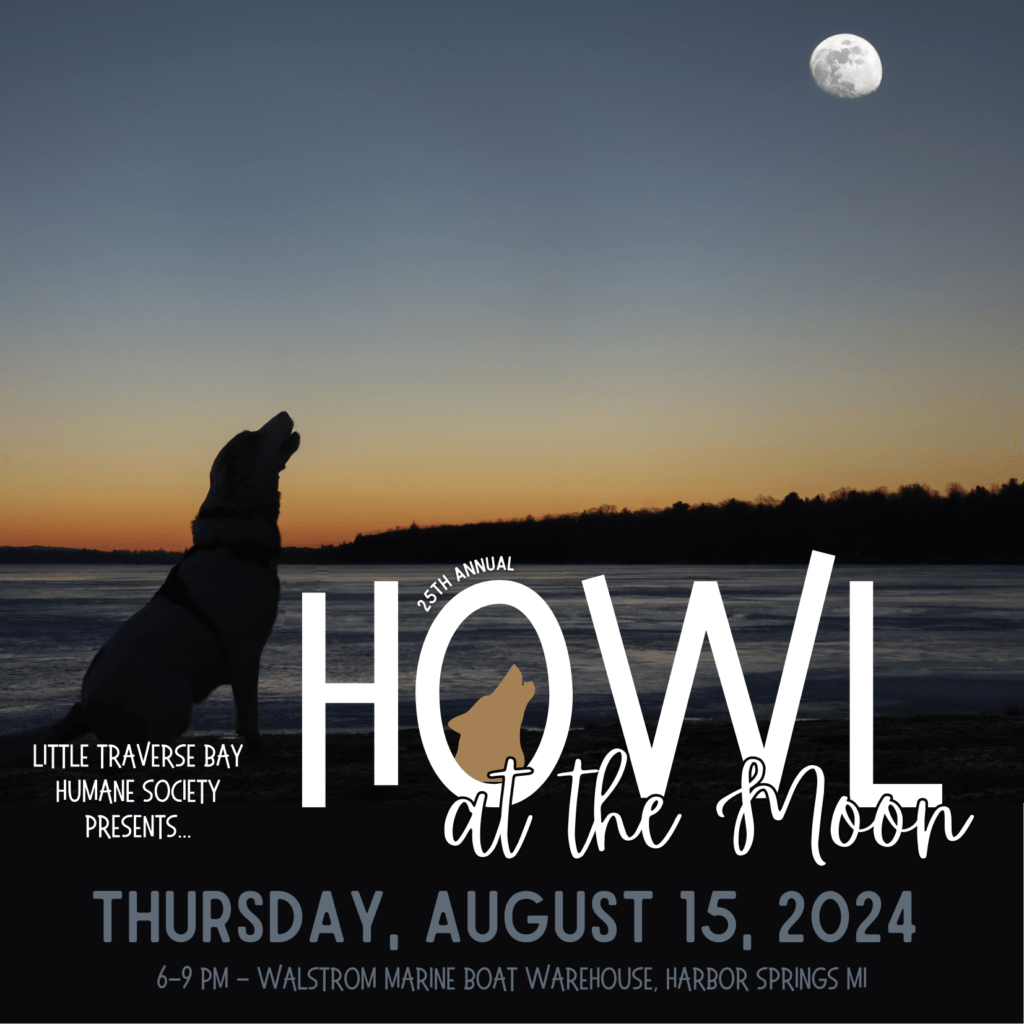 howl-at-the-moon-2024-for-lite-96