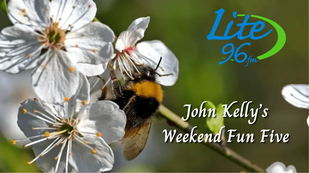 john-kellys-weekend-fun-five