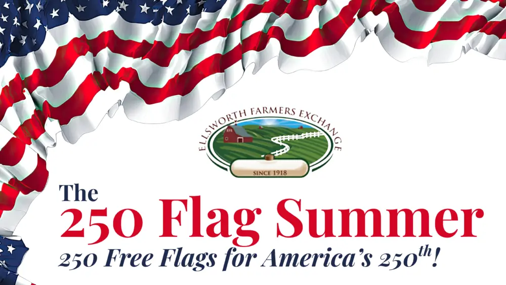 250-flag-summer