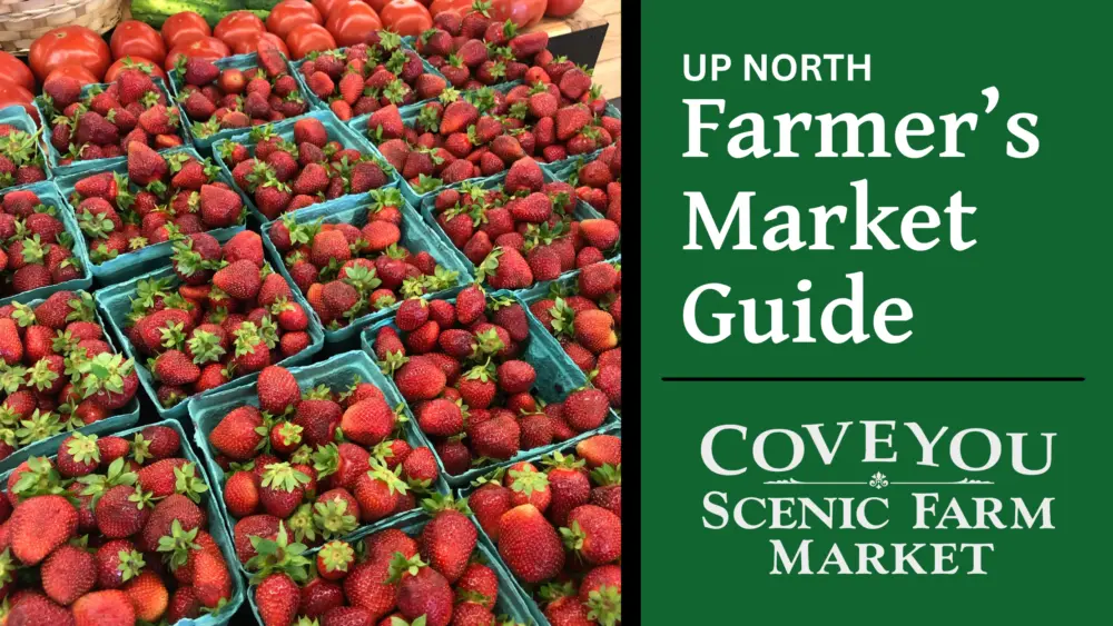 farmers-market-guide