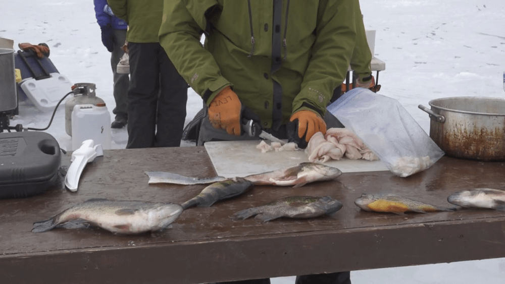 zgbuvf3syja5tnh7ozmhmmmnau7321