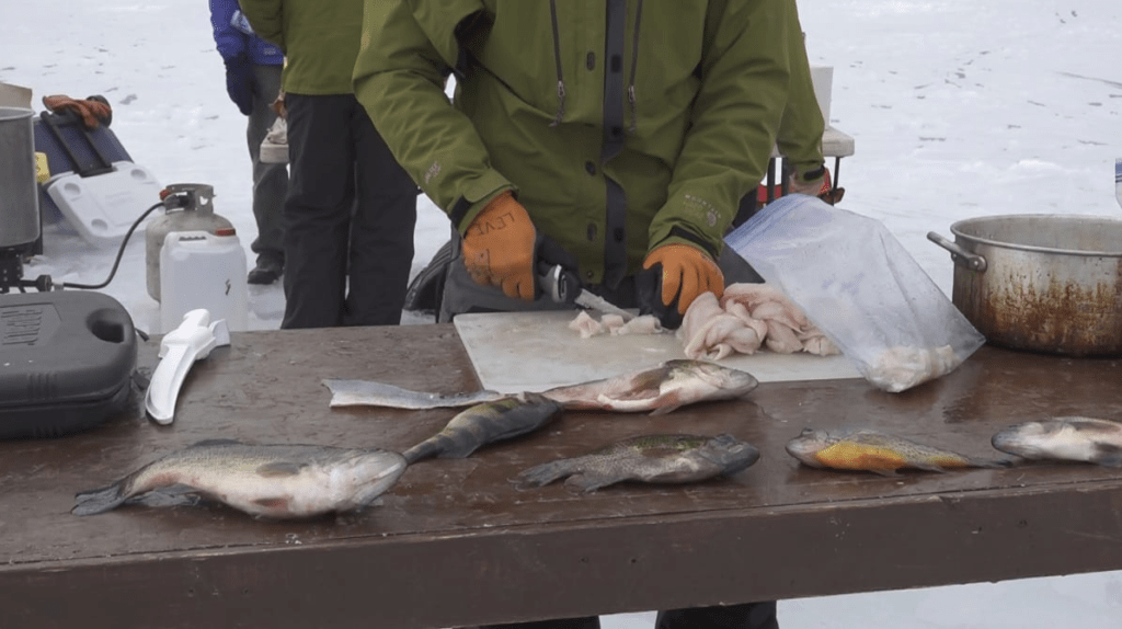 zgbuvf3syja5tnh7ozmhmmmnau7321