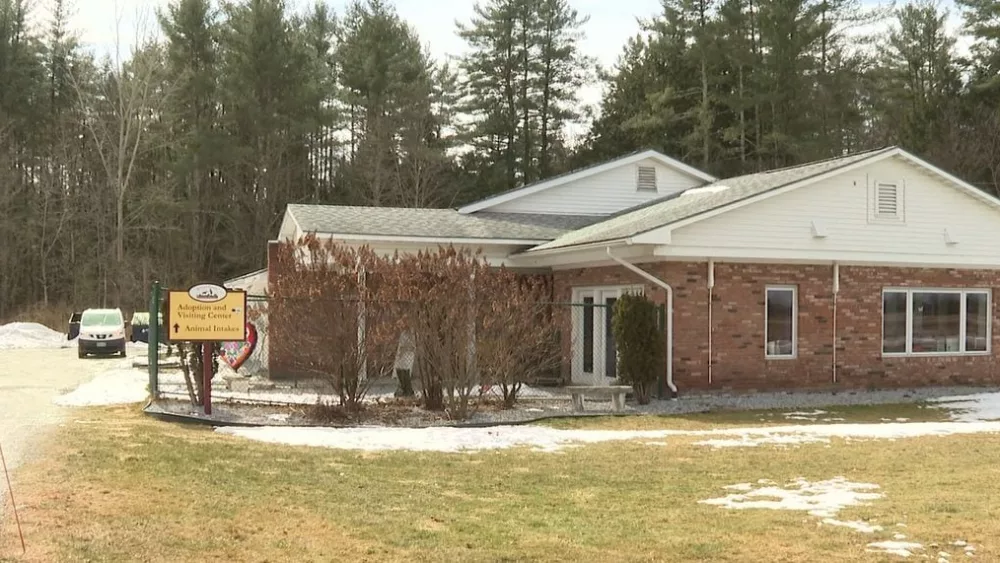 qnl3w65m6vf7npx5v3jl4ftvxq860746