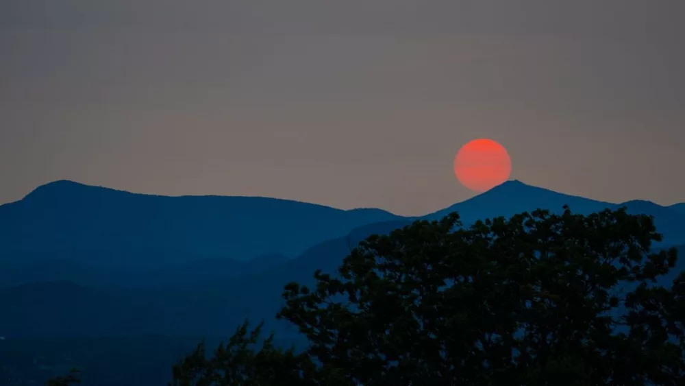 edm3f5b4ujbybn4t3zxhivvfvq752022