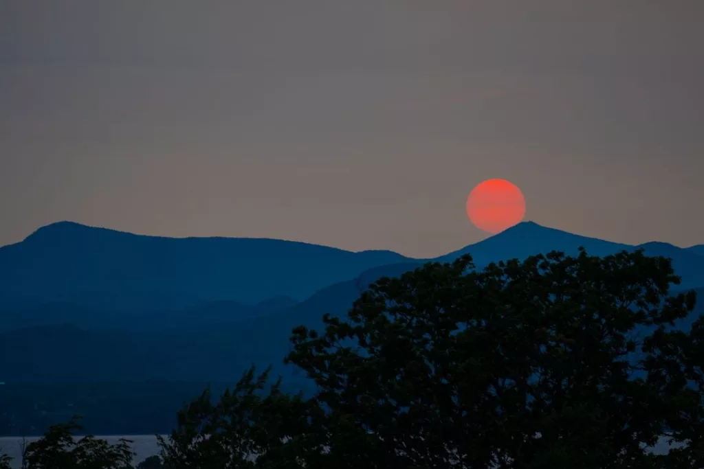 edm3f5b4ujbybn4t3zxhivvfvq752022