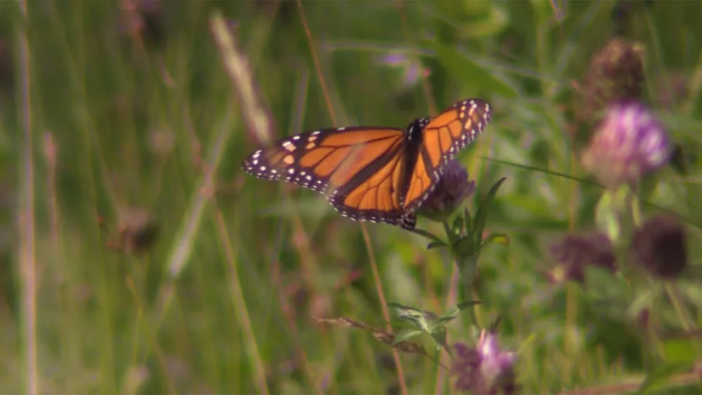 w5yvkp2gq5arnp64bkr62frue4513254