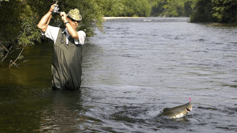 ubymeyk27rjgfnqf7yhbqtlezu655089