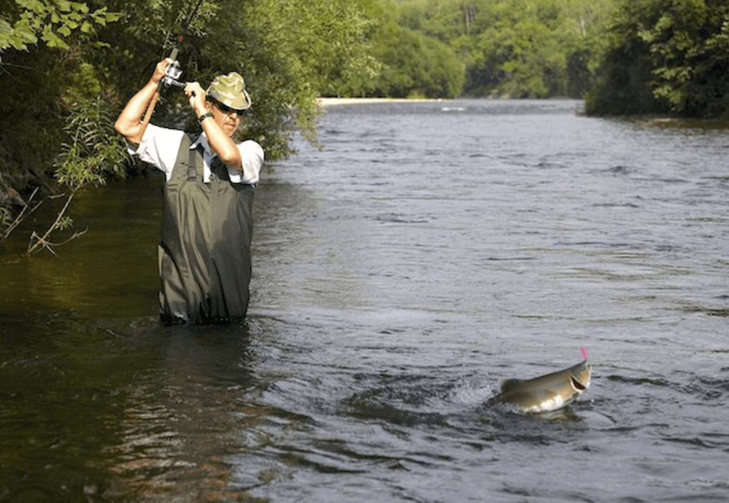 ubymeyk27rjgfnqf7yhbqtlezu655089