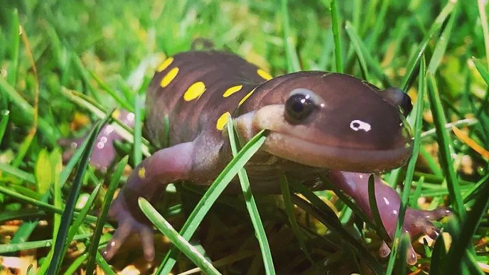 gjndahsorfc77ndp7uowb5pcnm675364