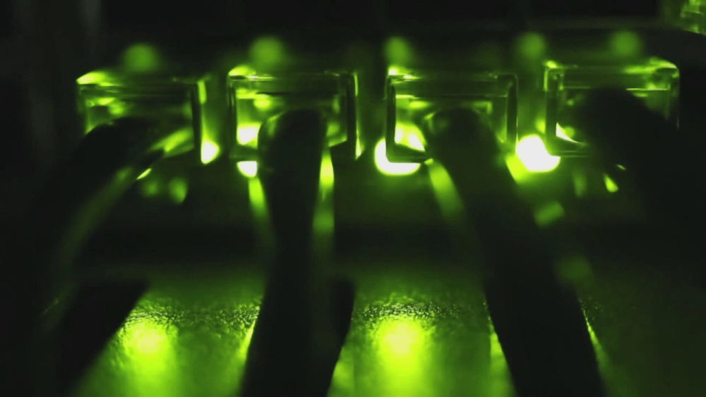 vnrt7lqibjbhfge62ln2pqnjhq462255