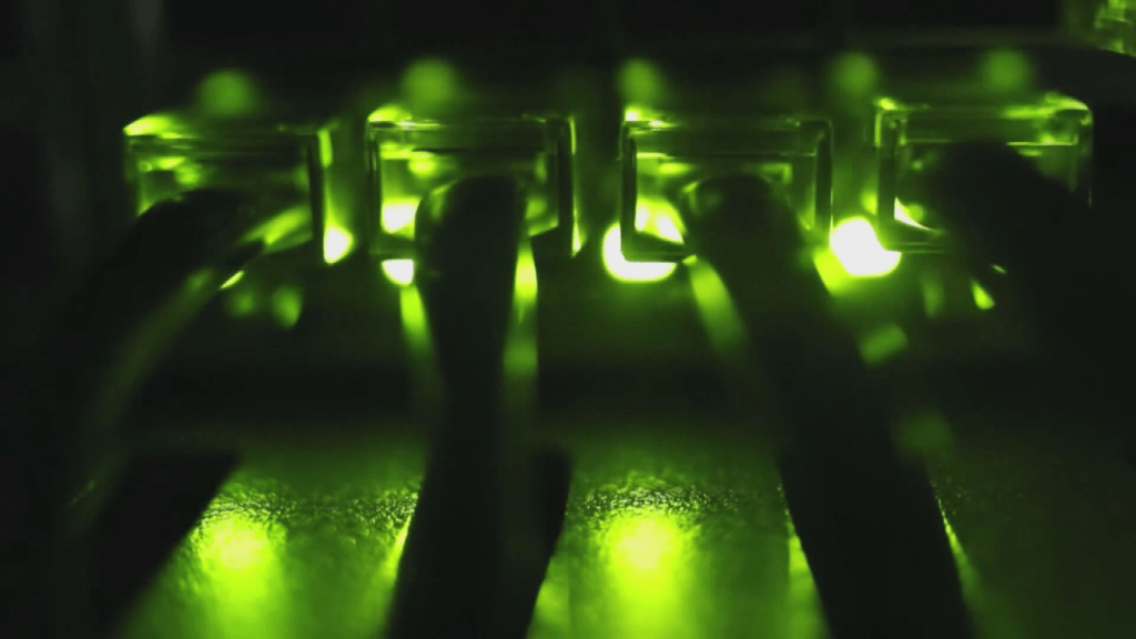 vnrt7lqibjbhfge62ln2pqnjhq462255