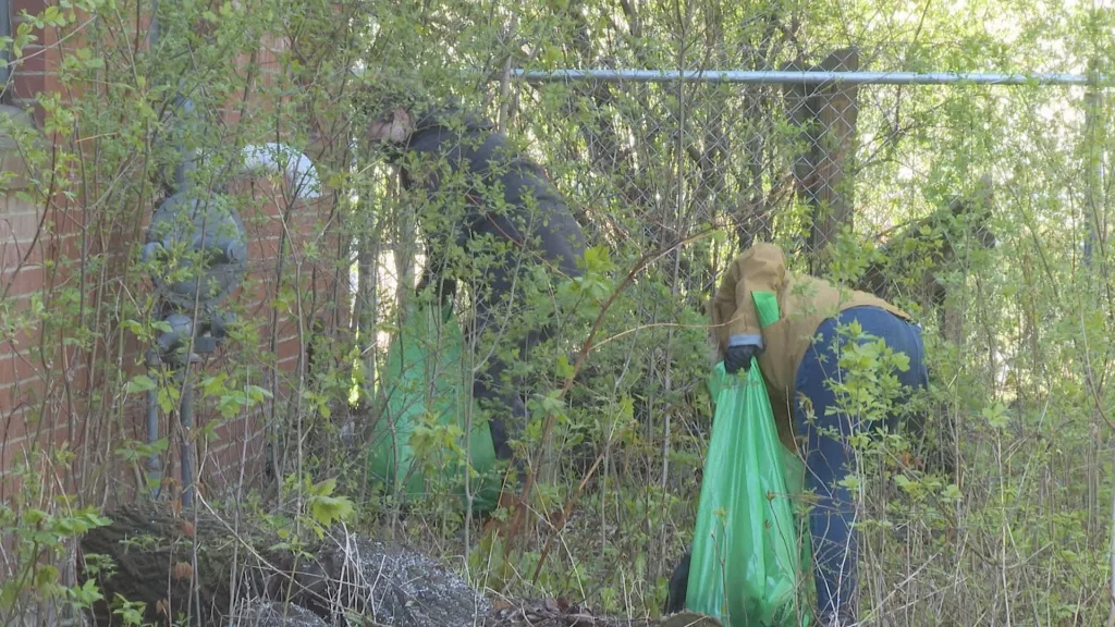 aek4hz2jevg4rfwqlgtjfwv7im117166