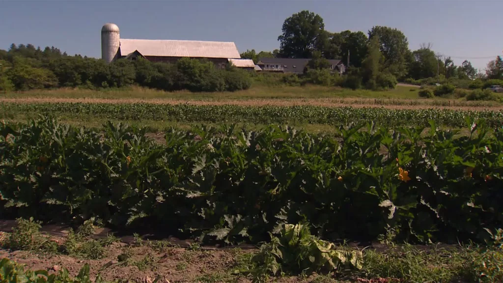 eojeqn7ggrfljdu7phlq4uibra380252