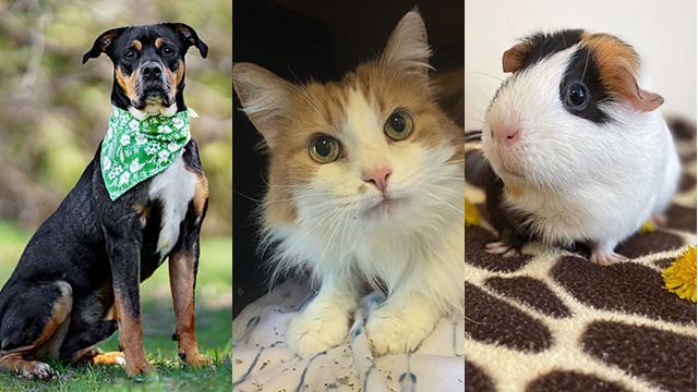 fmz7ki6xxzairin4oujhkr33m4673757