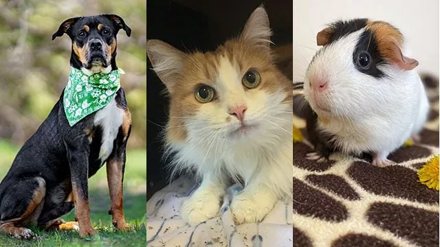 fmz7ki6xxzairin4oujhkr33m4673757